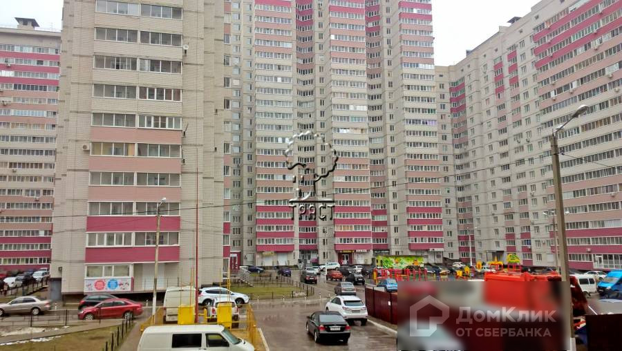 Фото олимпийский бульвар воронеж